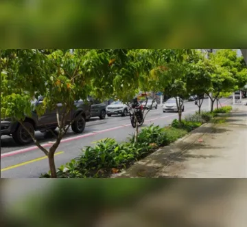 Imagem ilustrativa da imagem Belém adota modelo de "cidade-esponja" com jardins de chuva