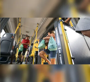Imagem ilustrativa da imagem Mosqueiro terá reforço nos ônibus no Natal e Ano Novo