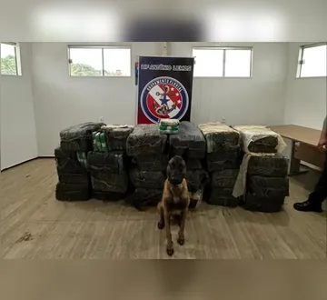 Imagem ilustrativa da imagem Pará atinge marca de 16 toneladas de drogas apreendidas em 2025