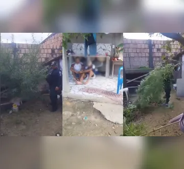 Imagem ilustrativa da imagem Vídeo mostra PMs flagrando plantação de maconha em residência