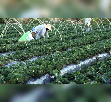 Imagem ilustrativa da imagem Concurso da ANATER encerra inscrições nesta segunda-feira (5)