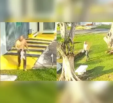 Imagem ilustrativa da imagem VÍDEO: câmeras de segurança flagram tutor agredindo cachorro em Belém