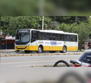 Imagem ilustrativa da imagem Vem Busão: Veja como baixar o aplicativo e acompanhar seu ônibus em tempo real