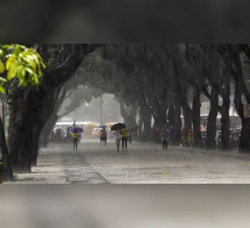 Imagem ilustrativa da imagem Pará tem alerta de chuvas intensas até quarta-feira (17)