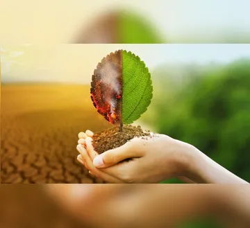 Imagem ilustrativa da imagem Demanda por tecnologia climática abre mercado de US$ 10 trilhões