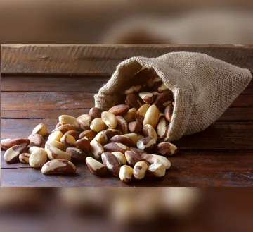 Imagem ilustrativa da imagem Castanhas: aliadas ou vilãs do emagrecimento? Saiba como consumir