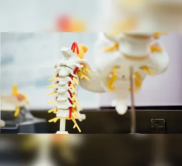 Imagem ilustrativa da imagem Polilaminina: a substância que traz esperança contra a paralisia&nbsp;