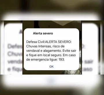 Imagem ilustrativa da imagem Celular tocou? Veja o que fazer após alerta da Defesa Civil