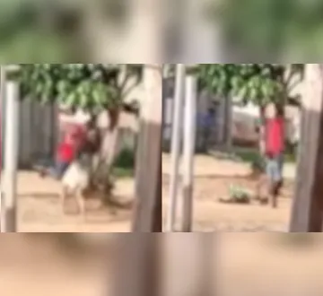 Imagem ilustrativa da imagem Vídeo: homem agride companheira na frente de crianças em Óbidos