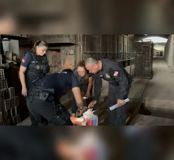 Imagem ilustrativa da imagem Mais de 1 tonelada de drogas é incinerada em Castanhal