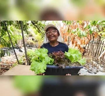 Imagem ilustrativa da imagem Mulheres lideram políticas de assistência social no Pará