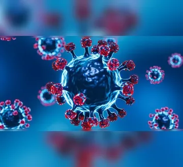 Imagem ilustrativa da imagem ‘Cicada’: o que se sabe da subvariante da Covid-19 que circula em 23 países