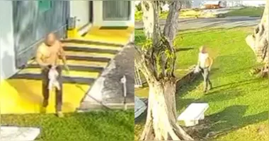 Cachorro foi resgatado em Belém após ser vítima de maus-tratos cometidos pelo próprio tutor. O caso encaminhado à DEMAPA.