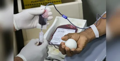 Imagem ilustrativa da imagem Hemopa garante 701 bolsas de sangue e beneficiará mais de 2,8 mil pessoas