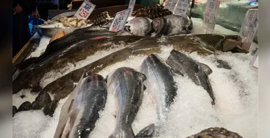 Imagem ilustrativa da imagem Peixe encarece em todo o país e tendência é de alta até a Semana Santa