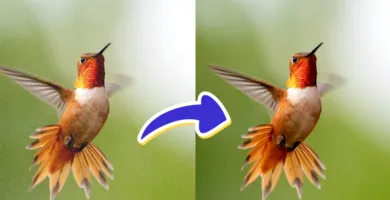 Imagem ilustrativa da imagem Fotos ruins? Conheça 4 ferramentas gratuitas de IA para remover ruído de imagem