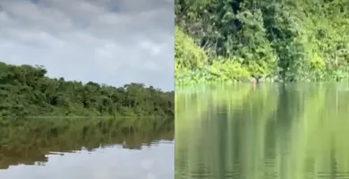 Imagem ilustrativa da imagem Vídeo mostra mulher gritando no Rio Negro e mobiliza atenção em Manaus