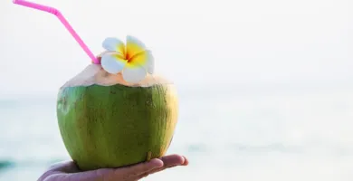 Imagem ilustrativa da imagem Água de coco: o que é mito e o que é verdade sobre os efeitos da bebida
