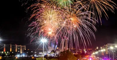 Imagem ilustrativa da imagem Fogos de artifícios com estampido são risco para animais e pessoas