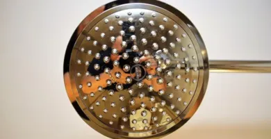 Imagem ilustrativa da imagem Veja como desentupir o chuveiro e recuperar a pressão da água