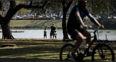 Quem terá o melhor ano econômico de sua vida em 2026