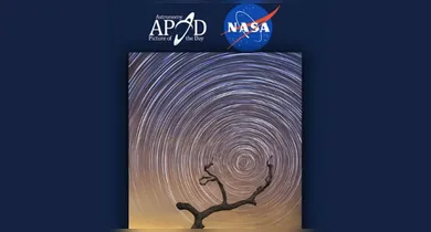 Intitulada “Árvore Celestial Sul”, a fotografia foi capturada em 20 de agosto de 2018