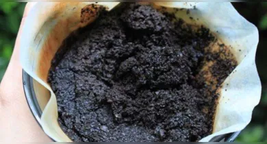 De acordo com o estudo, o biocarvão, formado através da borra de café, pode substituir até 15% da areia utilizada na produção do concreto sem comprometer a estrutura.