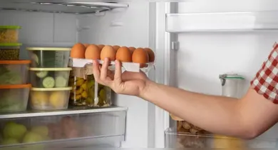 A temperatura ideal de uma geladeira deve ficar abaixo de 5 °C para garantir a conservação adequada dos alimentos.