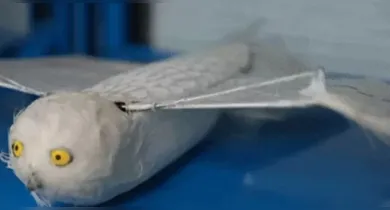 O drone simula uma águia pode entrar para o livro dos recordes.