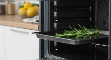 Técnica simples e ecológica aproveita propriedades aromáticas da erva para manter frescor no eletrodoméstico