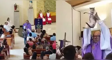 O gato também foi erguido e apresentado para os fiéis ao fim da missa.