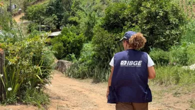 Do total de vagas autorizadas, 27.330 são para recenseadores, que irão atuar no Censo Agropecuário, Florestal e Aquícola, além do Censo da População em Situação de Rua