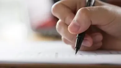 A diversidade de funções amplia as chances para profissionais de diferentes perfis e formações.