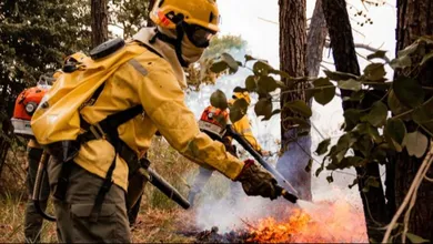 O prazo para o certame está se encerrando