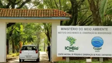 ICMBio quer montar equipe de brigadistas
