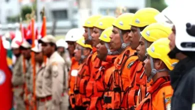 São 113 vagas para brigadistas