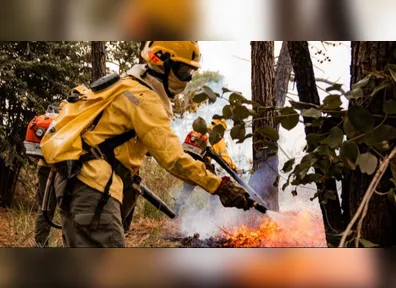 O prazo para o certame está se encerrando