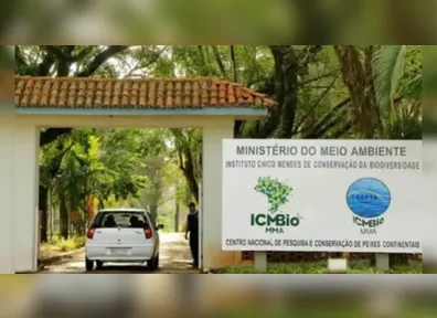 ICMBio quer montar equipe de brigadistas