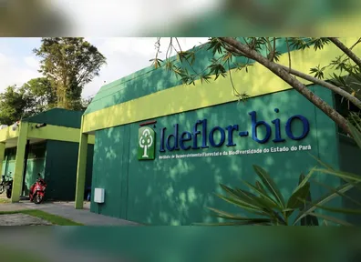 Imagem ilustrativa da notícia Inscrições para PSS do IDEFLOR-Bio terminam nesta quinta (26)