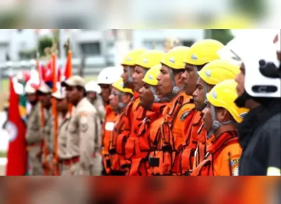 São 113 vagas para brigadistas