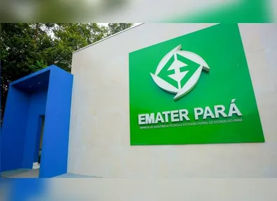 Empresa de Assistência Técnica e Extensão Rural do Estado do Pará está com vagas abertas em vários municípios. Confira!