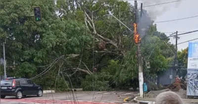 Árvore caiu no meio da pista e provocou incêndio em fiação elétrica na avenida Pedro Miranda, em Belém.