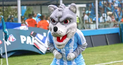 O Lobo quer fazer mais uma vítima no Parazão