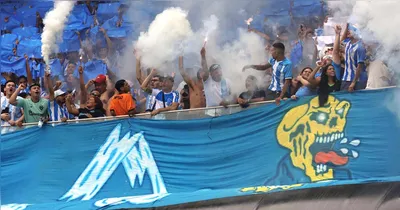 A Fiel Bicolor vai invadir!