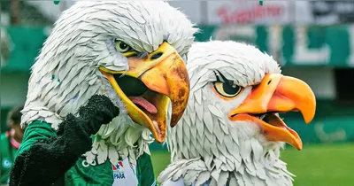 Águias do Pará seguem o sonho do acesso à Série C do Campeonato Brasileiro