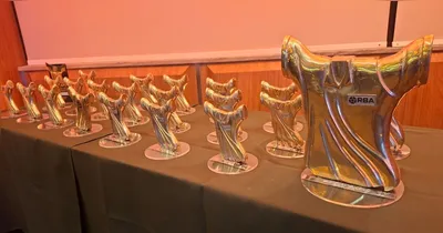 Troféu Camisa 13: 34 anos de valorização do futebol paraense.