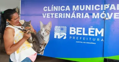 Tutores devem realizar cadastro prévio no Hospital Veterinário Municipal, manifestando interesse na castração, para participar das ações.