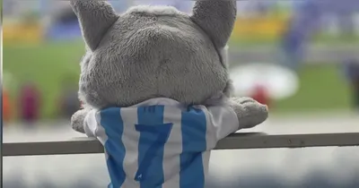 Vale lembrar que esta não é a primeira vez que uma derrota do time da Curuzu vira música pela autoria de torcedores rivais.