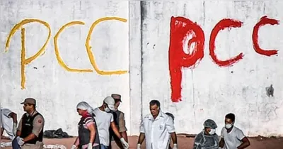 Caso a medida seja confirmada, ela poderá abrir caminho para sanções financeiras e ampliar mecanismos de cooperação internacional contra os grupos