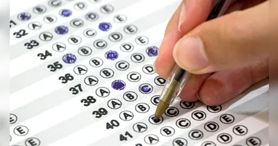 Concursos no Pará: as oportunidades contemplam áreas estratégicas como educação, segurança pública, fiscalização, administração e meio ambiente.